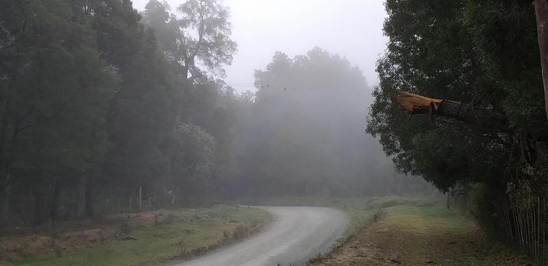 0 Bedroom Property for Sale in Hogsback Eastern Cape